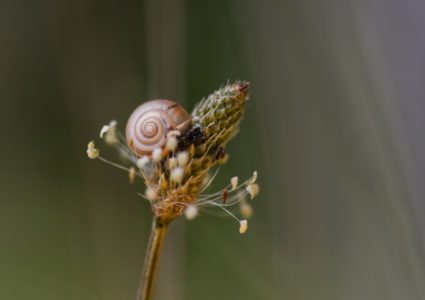 Spiraldynamik® Aktiv von Kopf bis Fuss